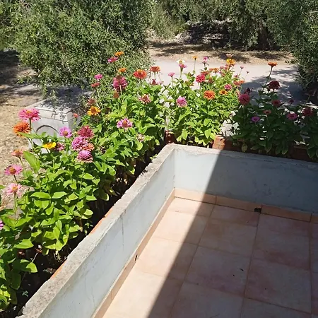 Pisturri
