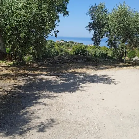 Pisturri * Magomadas